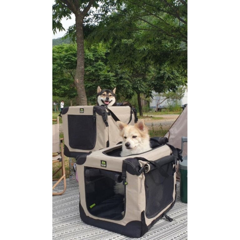 ASCO Target Stick Targetstick voor honden en katten, targettraining