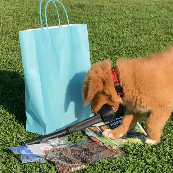 Gratis Puppypakket (enkel afhalen) The Dog Company